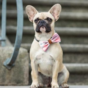 (c) Foto: Michaela Krenn