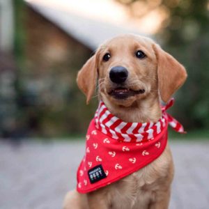 (c) Foto: Michaela Krenn