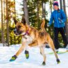 ruffwear_polar-trex_02
